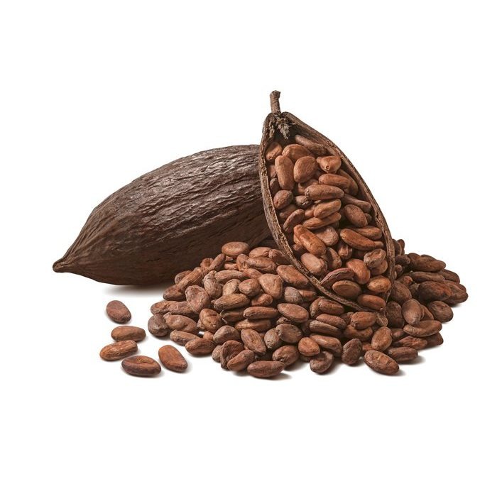 Cocoa Beans 